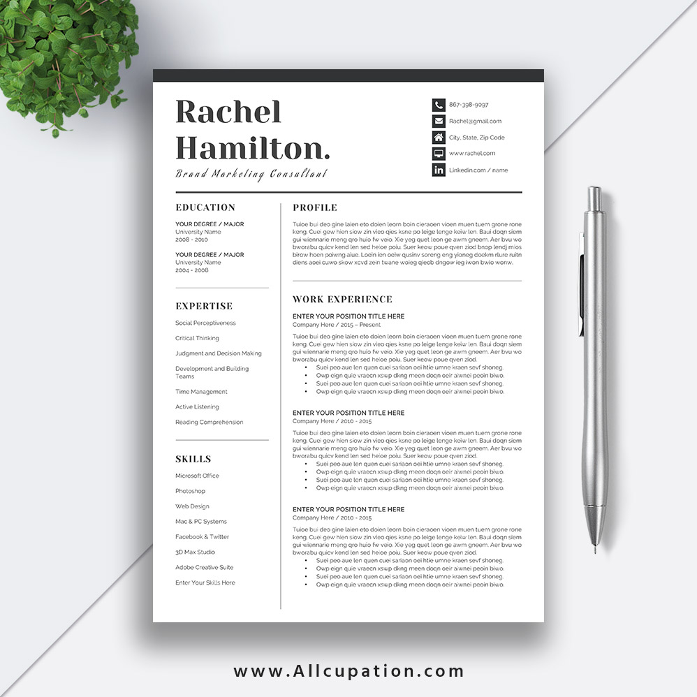 CV Professional
